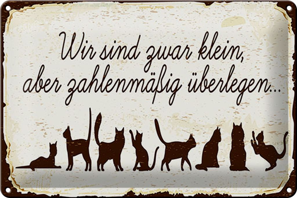 Blechschild Spruch 20x30 cm Wir sind zwar klein aber Überlegen Schild