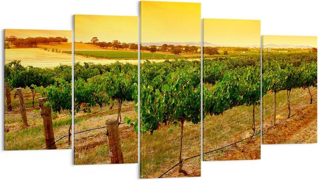Bild auf Leinwand - Leinwandbild - Landschaft Weinberg Sonnenuntergang - 160x85cm - Wand Bild - Wanddeko - Leinwanddruck - Bilder - Kunstdruck - Le...