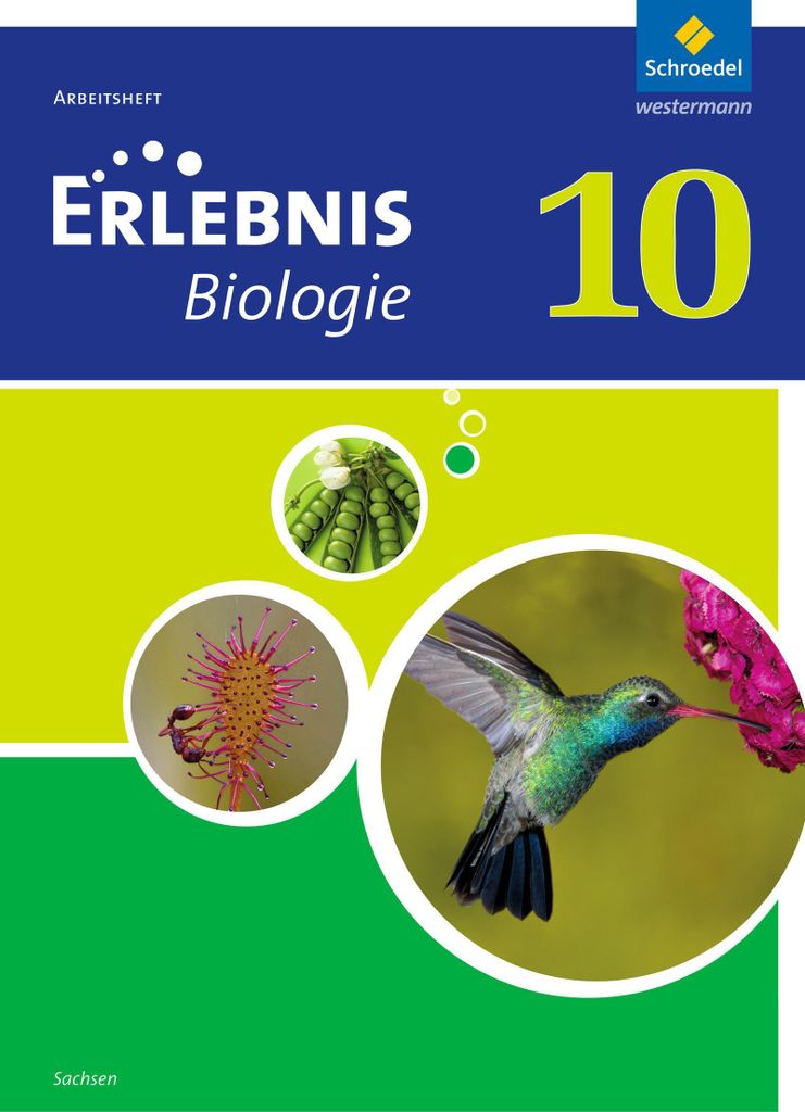 Erlebnis Biologie 10. Arbeitsheft. Sachsen