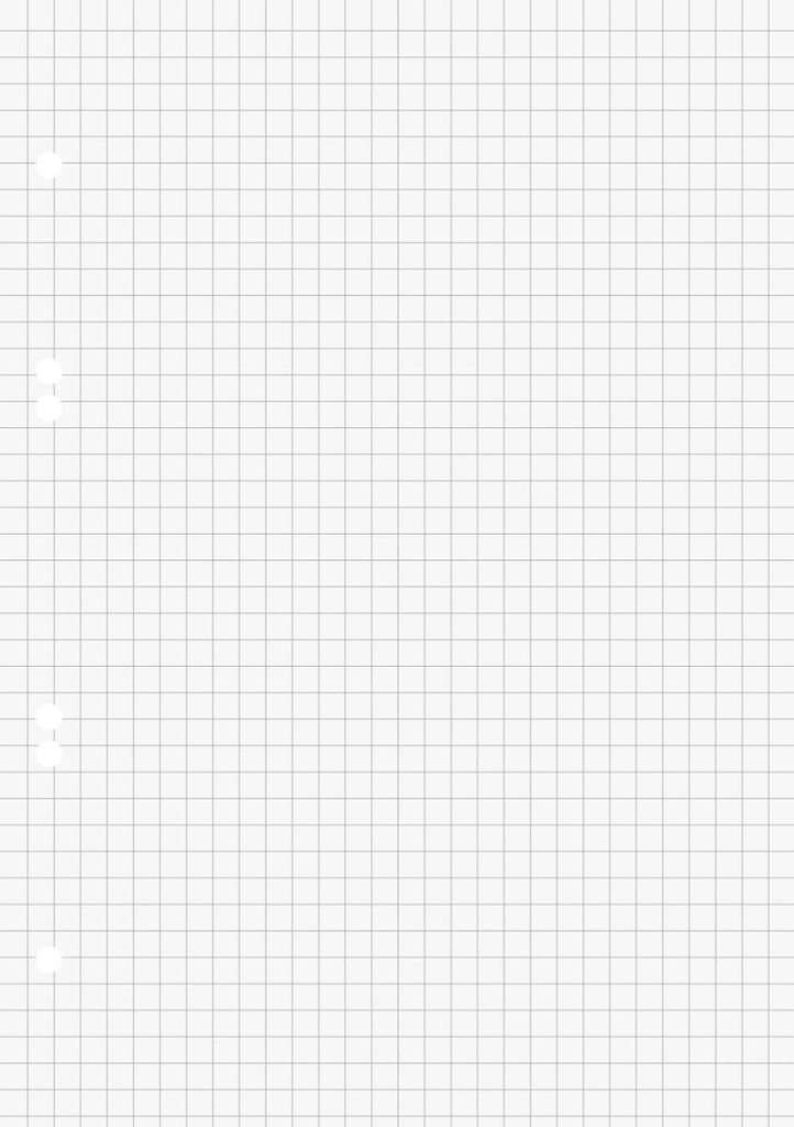Ringbucheinlagen A5 kariert 50 Blatt Packung mit 10 Stück