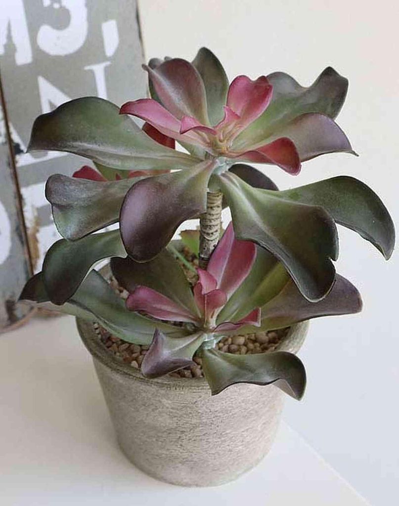artplants.de Kunst Echeveria Shauna im Dekotopf, grün-violett, 25cm - Echeveria künstlich