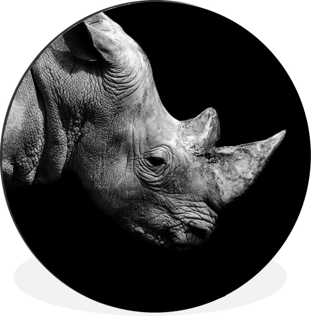 MuchoWow Aluminium Wandkreis Portrait Nashorn auf schwarzem Hintergrund Ø 90 cm Wanddeko Modern Wohnzimmer - Mauerkreis - Wandbilder - Runde Bil...