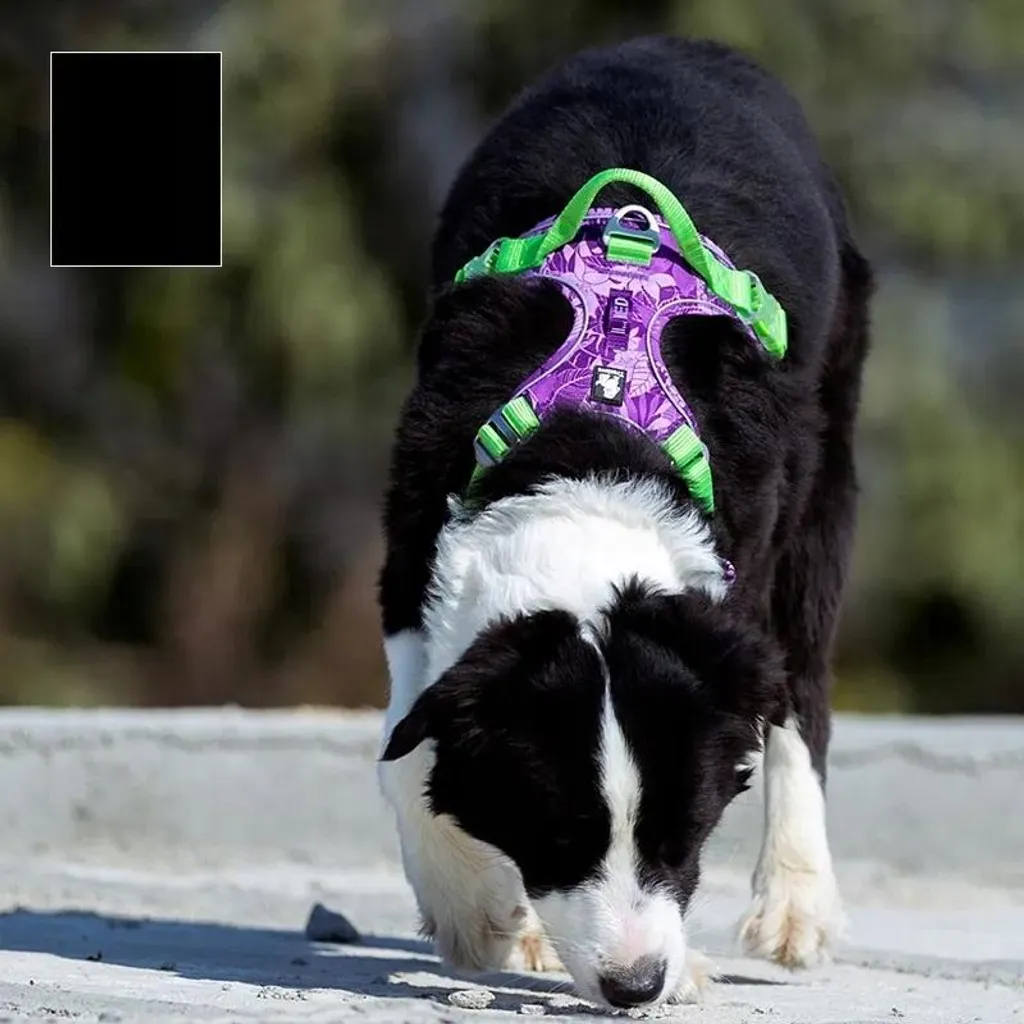 Pettorina Cane Truelove Riflettente M: Equipaggiamento Tecnico No-Pull - 4