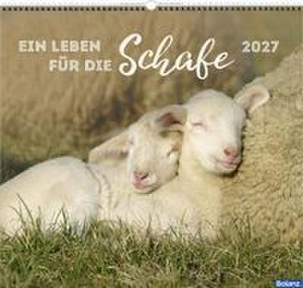 Wandkalender 2027 'Ein Leben für die Schafe', 45 x 42 cm, Produktbild 