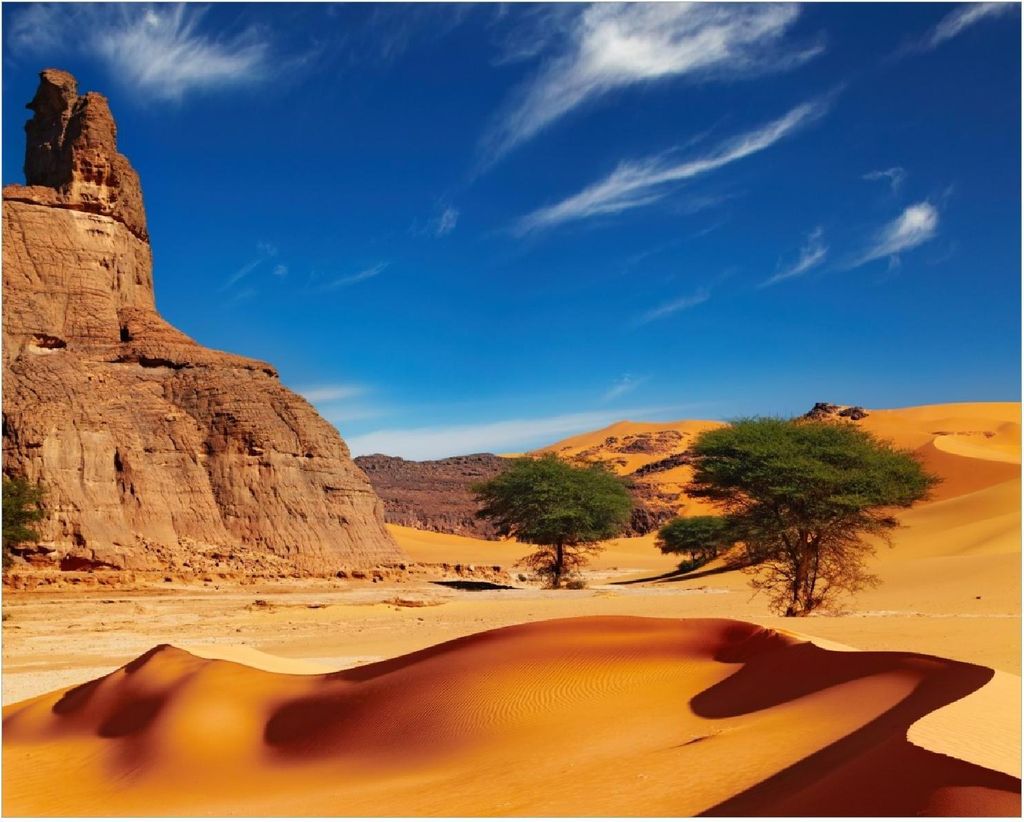 Wallario Poster - In der Wüste Sahara, Kunstdruck Größe: 40 x 50 cm