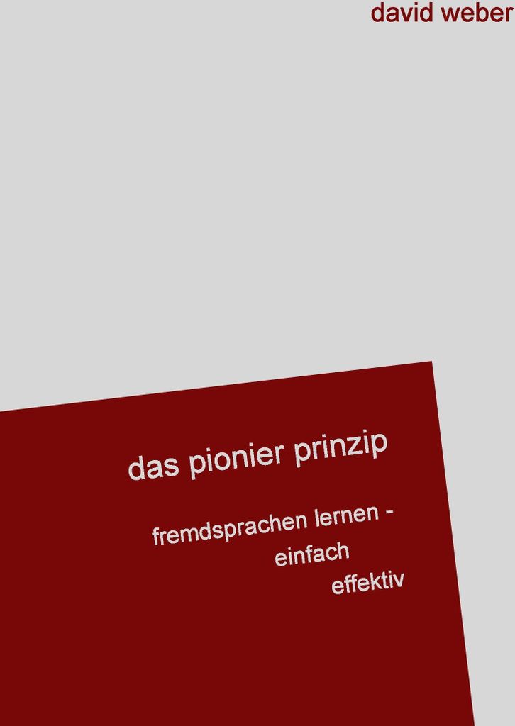 Das Pionier-Prinzip