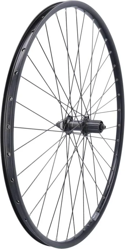 Roue de Vélo 28 Pouces Arrière Ryde Rival 21 avec Moyeu Shimano QR