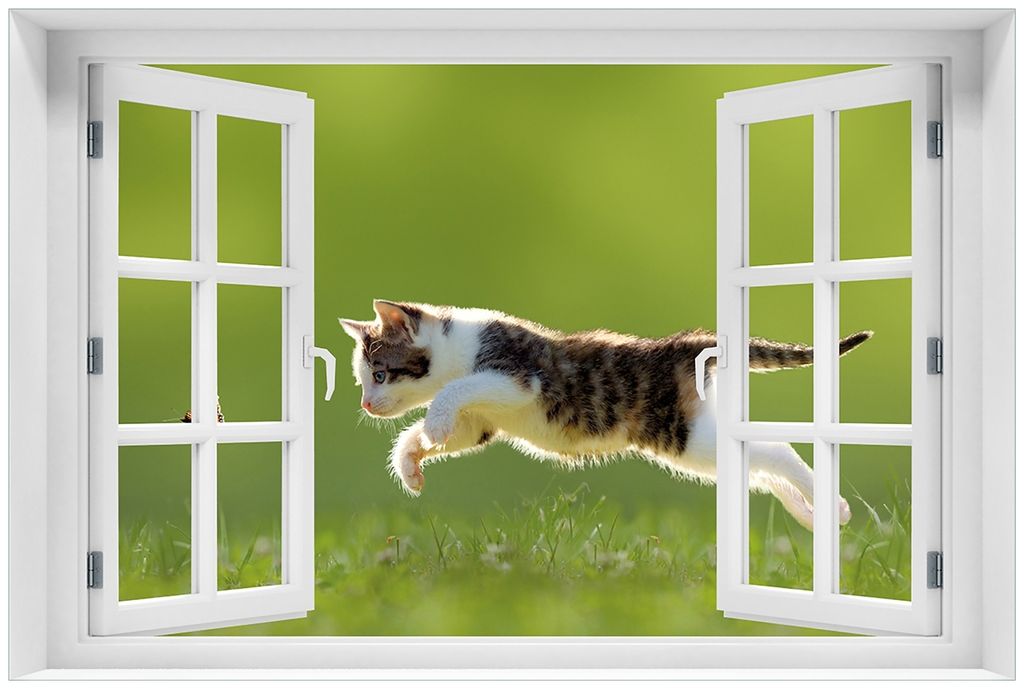 Wallario Premium Glasbild mit Fensterrahmen, freischwebende Optik, kräftige Farben, Größe 60 x 90 cm Motiv Süße Katze fängt Schmetterling im ...