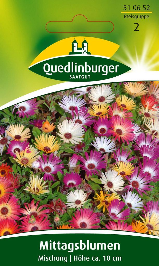 Quedlinburger Saatgut - Mittagsblume Mischung - Samen - 510652