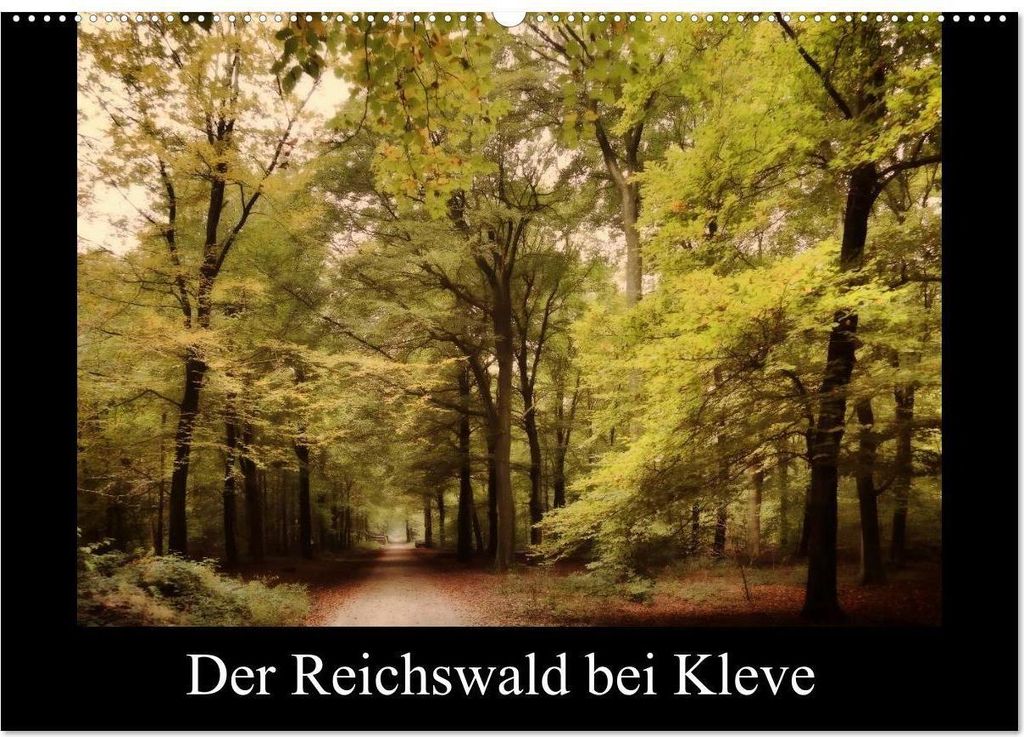 Der Reichswald bei Kleve (Wandkalender 2026 DIN A2 quer), CALVENDO Monatskalender