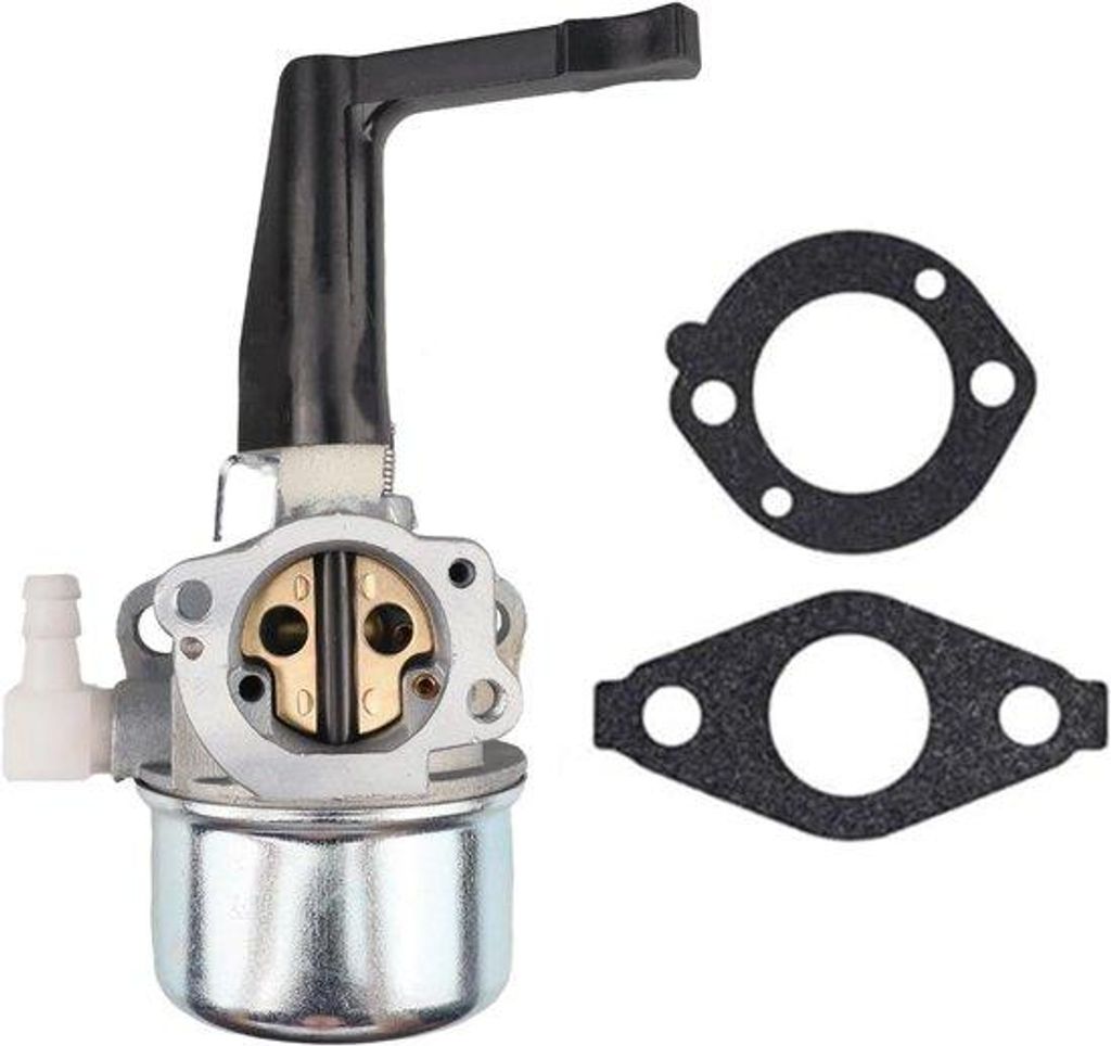 Kartellager-Set 696065 mit Dichtung - Kompatibel mit Briggs & Stratton 697422 110402 110412 215369
