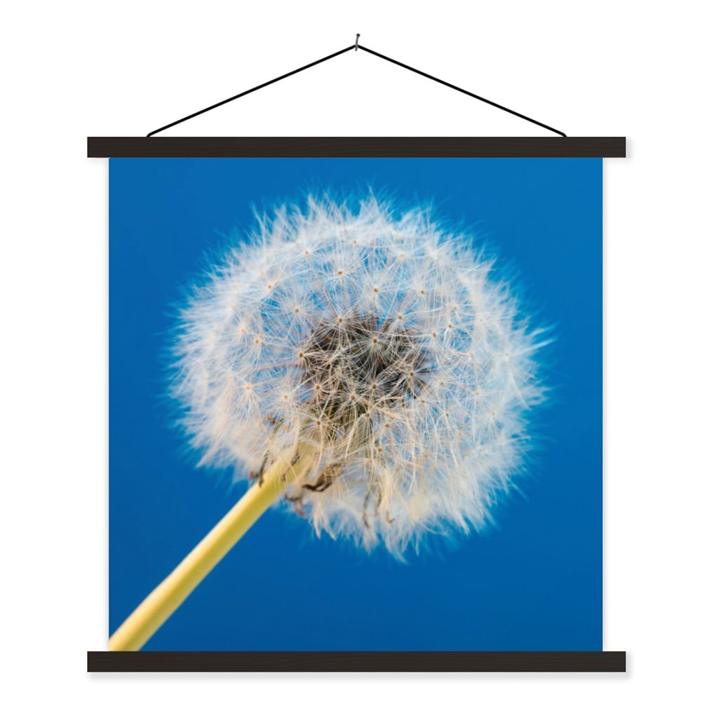 MuchoWow Textilposter Löwenzahn - Blume - Terrasse 120x120 cm mit schwarzem Rahmen - Aufhängungsset