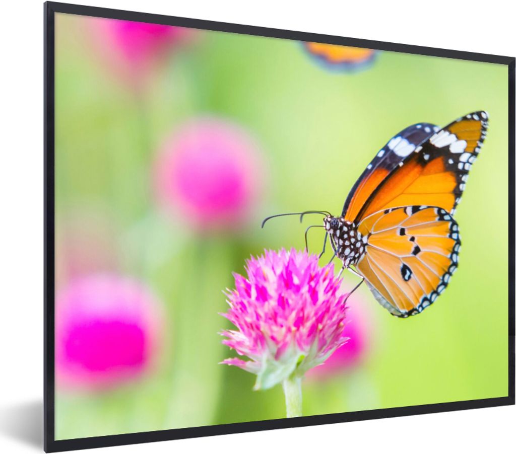 MuchoWow Gerahmtes Poster Insekten - Schmetterlinge - Blumen 40x30 cm - Poster mit Schwarzem Bilderrahmen Wandposter Rahmen Foto Bilder - Kunstpo...