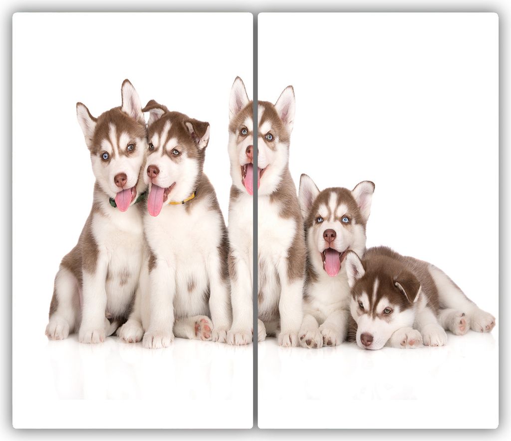 Tulup Glas-Herdabdeckplatte - 2x30x52cm - Glaskeramikkochfeld-Abdeckung Spritzschutz Zweiteilig Husky Welpen