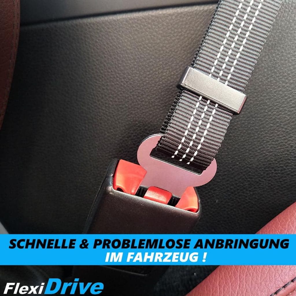 FlexiDrive Hundesicherheitsgurt Auto - 2er Set Mit Rückdämpfung Schwarz
