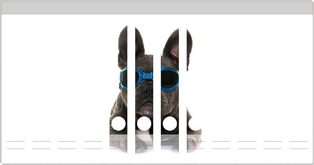 Wallario Ordnerrücken Sticker, selbstklebend für schmale Ordner, 12 Stück, Motiv Cooler Hund mit Sonnenbrille in blau - Französische Bulldogge