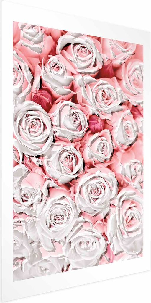 Posterpapier Poster - White Roses 60x90 cm Blumen b-C-0337-ao-a