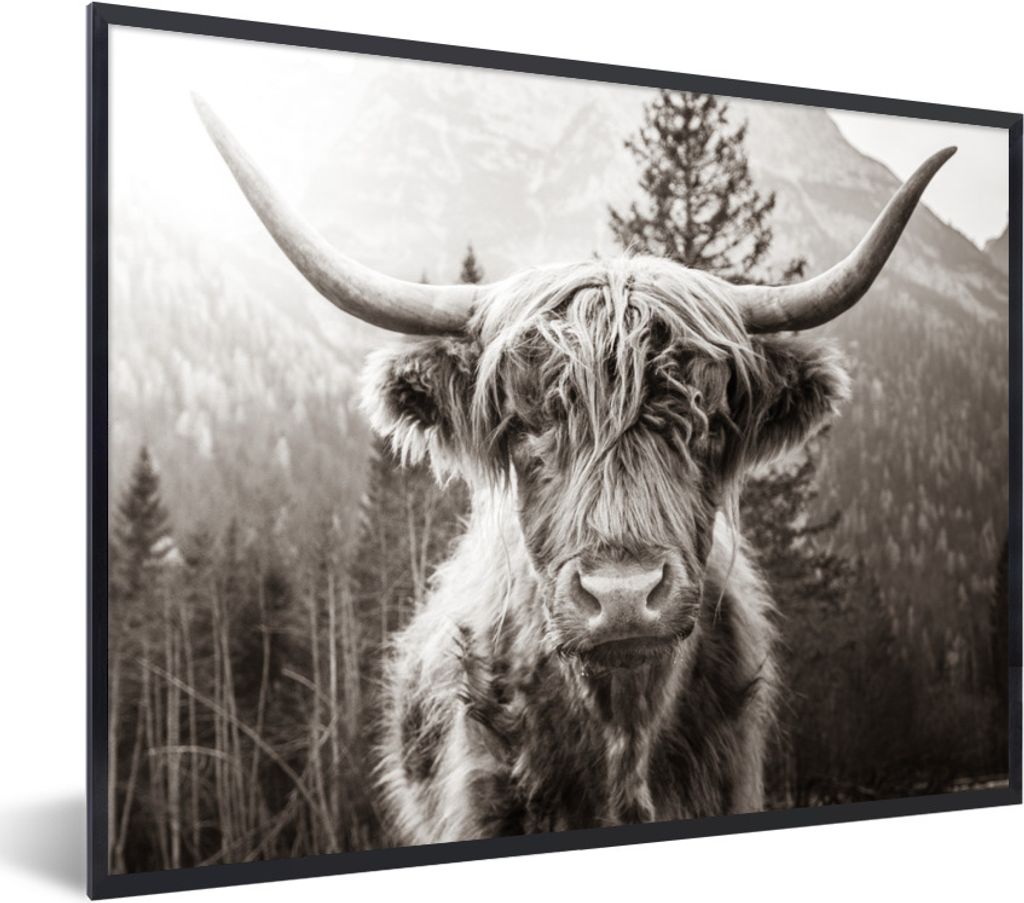 MuchoWow Gerahmtes Poster Scottish Highlander - Schwarz - Weiß 40x30 cm - Poster mit Schwarzem Bilderrahmen Wandposter Rahmen Foto Bilder - Kuns...