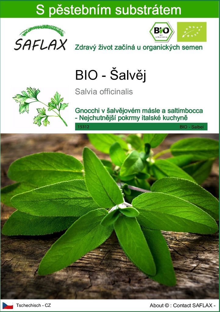 SAFLAX - BIO - Šalvěj - Salvia officinalis - 60 Semena - S Obrázek produktu 