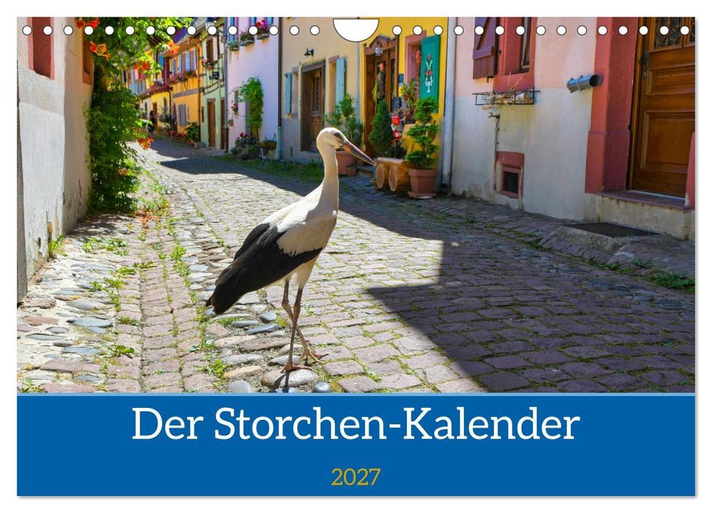Der Storchenkalender (Wandkalender 2027 DIN A4 quer), CALVENDO Monatskalender