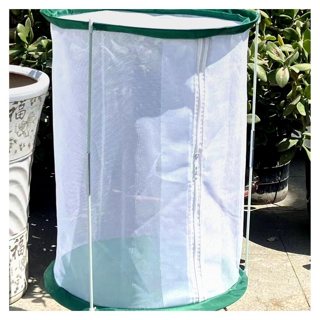 Schmetterlingslebensraum - 40x30x30 cm, Polyesterkäfig, Faltbares Insektenhaus für Gartenbeobachtungen und Aufzucht