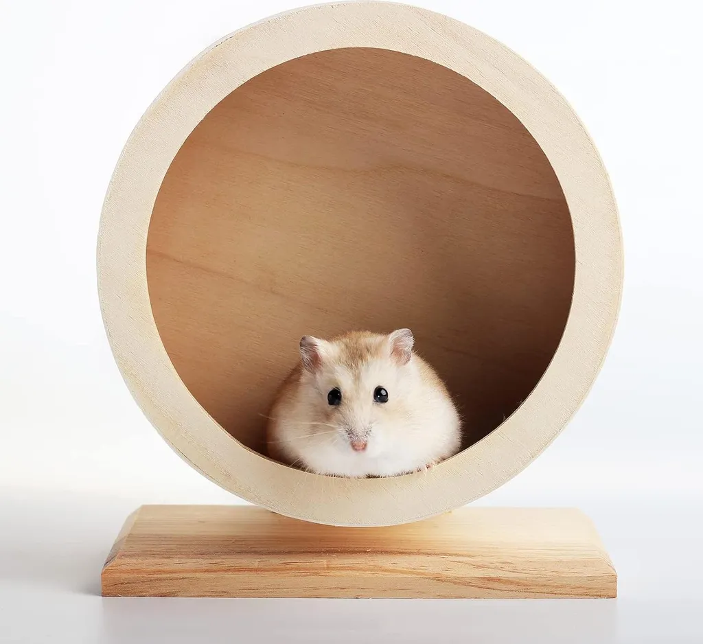 Roue silencieuse pour rongeur 15cm - Système de roulement ultra fluide