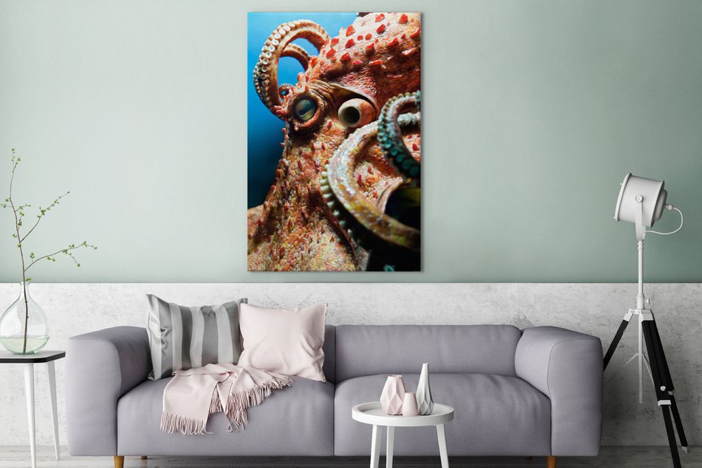 OneMillionCanvasses - Leinwandbilder - 90x140 cm, Der Kopf eines Oktopus, Wandbilder Kunstdruck Wanddekoration - Wandschmucke - Schlafzimmer