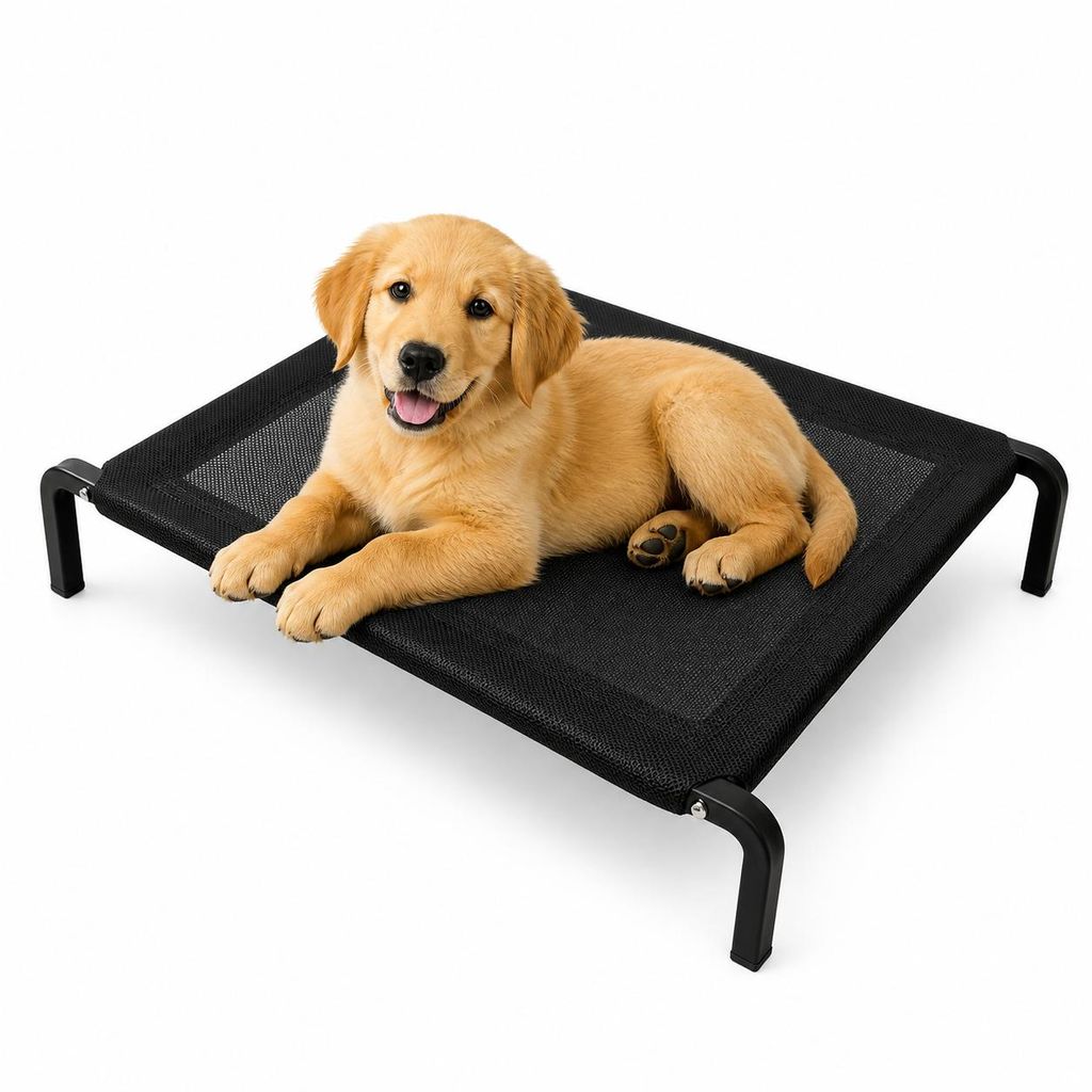 Lit de camp pour chien 90x60x15cm - Lit surélevé respirant Image du produit  Image générée par une IA