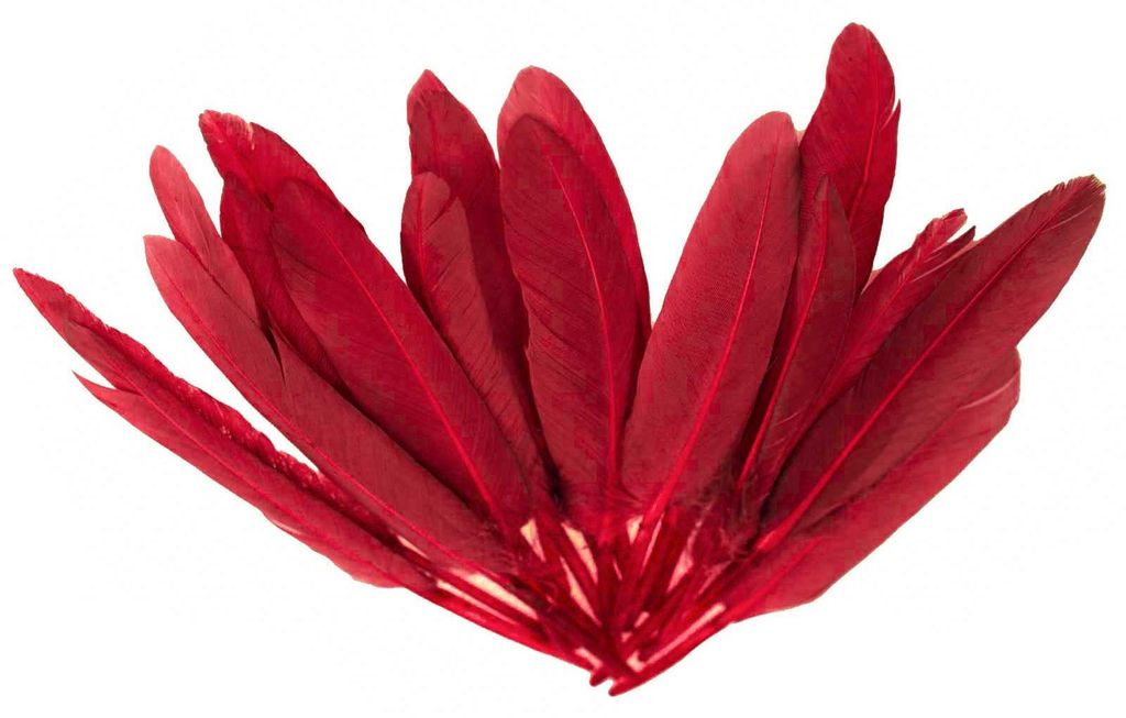 20 Entenfedern , 9-14 cm , weinrot