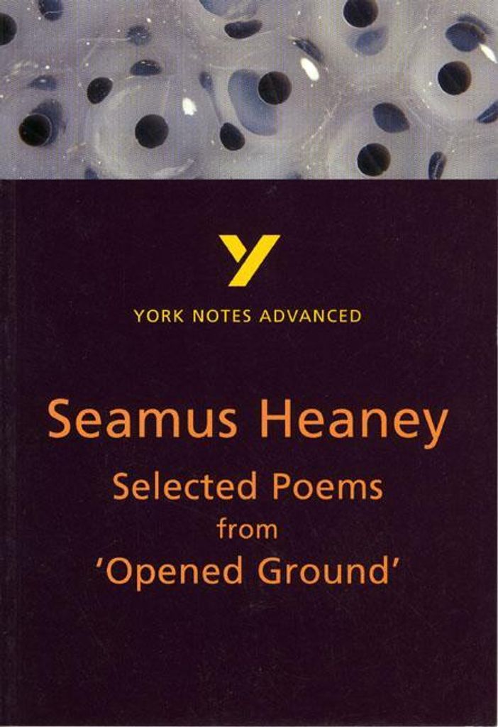 Selected Poems From 'opened Ground' – Lingua: Inglese