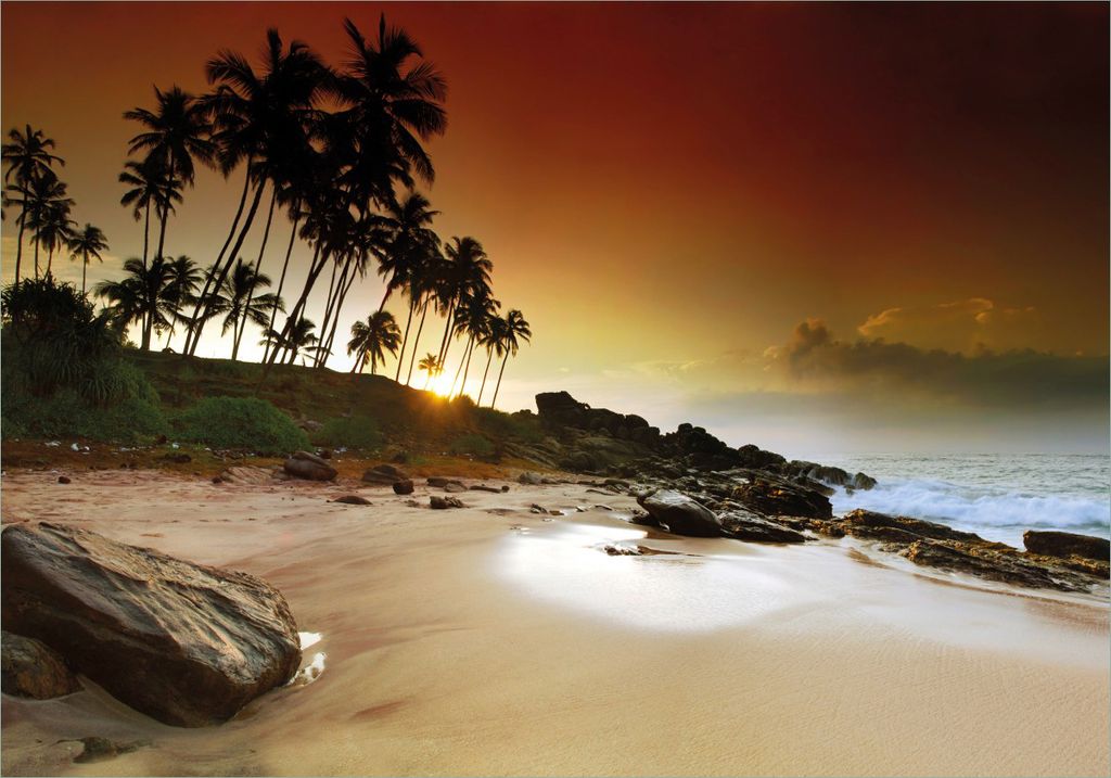 Wallario selbstklebendes Poster - Sri Lanka - Palmenstrand mit Sonnenuntergang, Größe: 70 x 100 cm