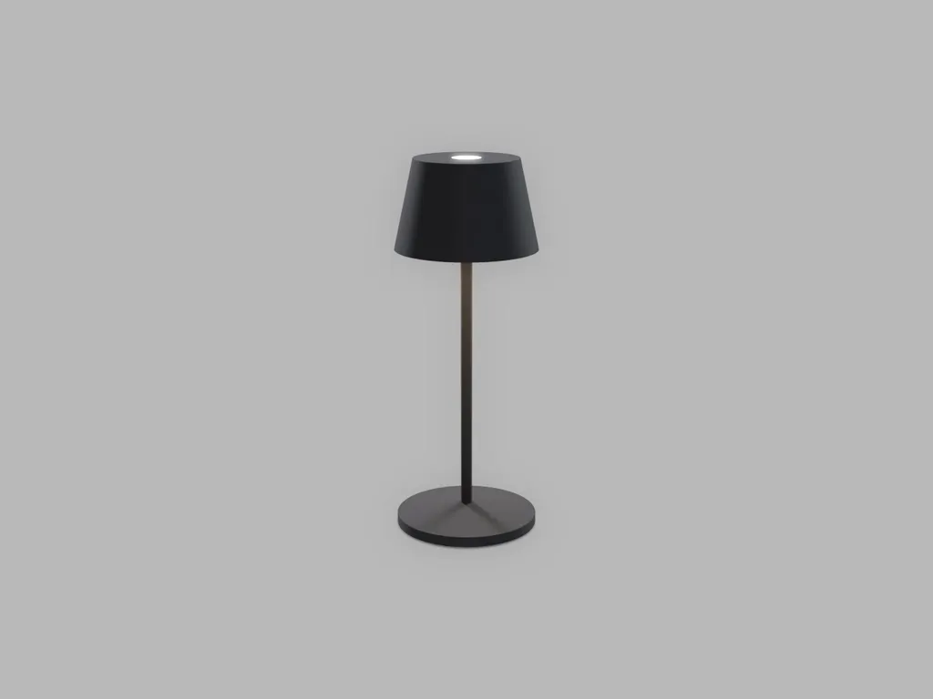 Lampe extérieur sans éblouissement ROXY MINI noire dimmable 2W LED