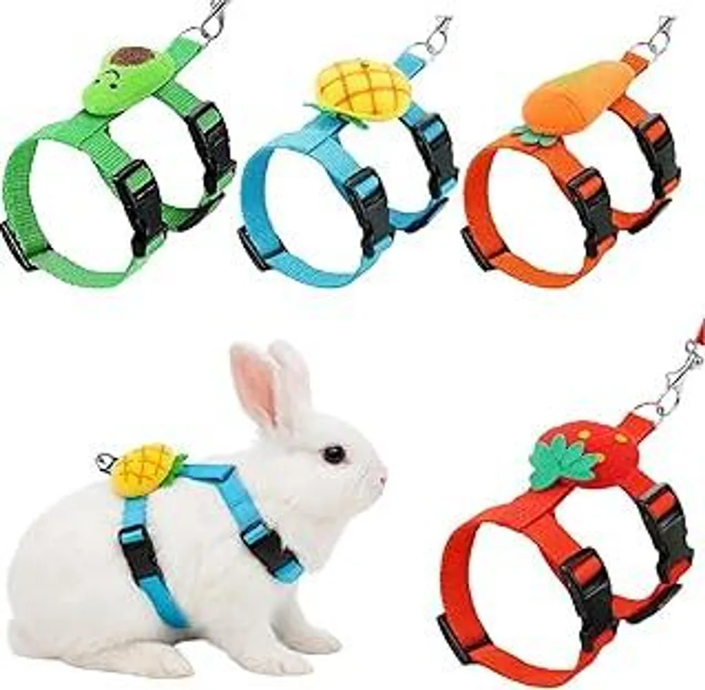 4 Guinzagli Colorati per Coniglietti e Gatti - Set Regalo Famiglia