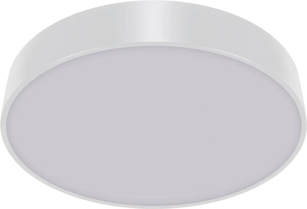 Éclairage Plafonnier Cuisine et Salle à Manger LED 24W Blanc Rond 40cm