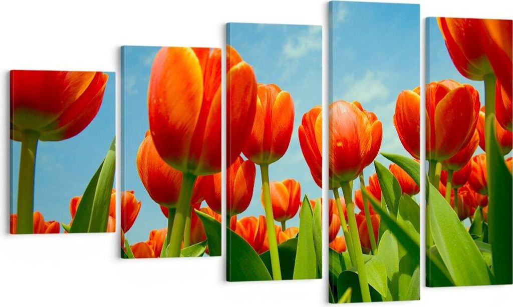 Bild auf Leinwand - Leinwandbild - Tulpe Blume blauer Himmel - 100x60cm - Wand Bild - Wanddeko - Leinwanddruck - Bilder - Kunstdruck - Wanddekorati...