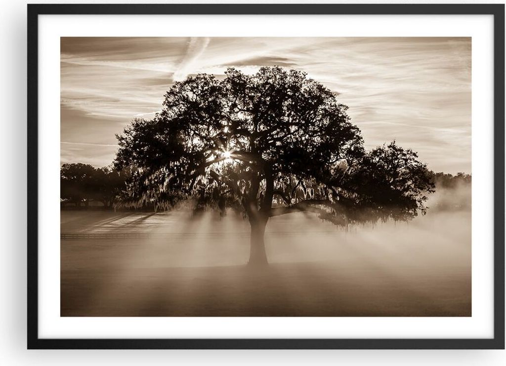 Gerahmtes Poster - Schwarzer Rahmen - Baum Feld Natur - 70x50 cm - Wand Bild - Wanddeko - Wandbilder - Kunstposter - Wandposter - Bilderrahmen - Bi...