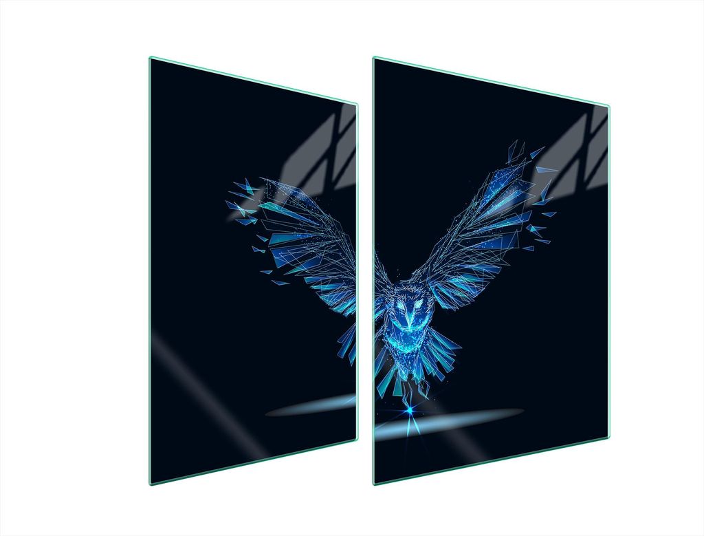 Glasschutzplatte Für Herd 70X52 Bird