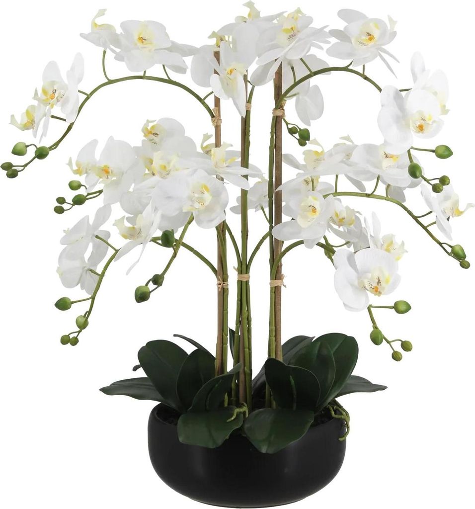aplanta Künstliche Orchidee - Bo | 65 cm, inkl. Dekotopf, für drinnen, Kunstblume, wie echt, Allergiker geeignet, pflanzliche Dekoration Praxis, ...