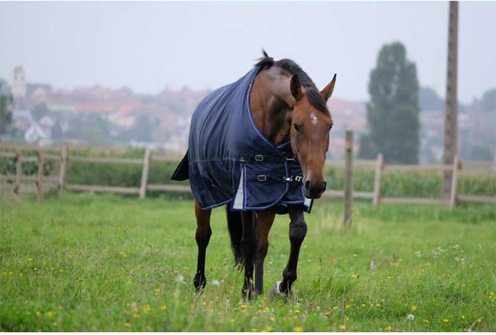 Equithème Weidedecke mit abnehmbarem Halsteil 1680D 220g