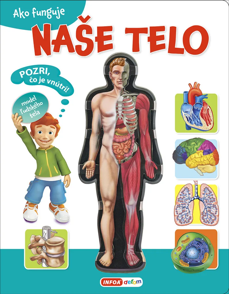 Apprendre le corps humain facilement : livre Ako funguje naše telo