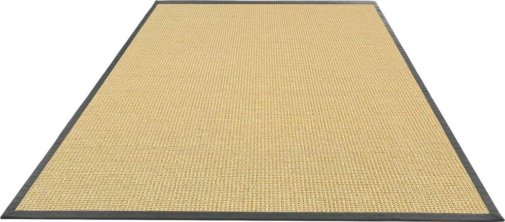 A rectangular rug with a woven texture and a dark border, presented on a white background.