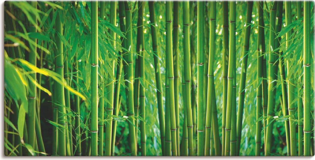 ARTland Leinwandbild Bambus II Größe: 60x30 cm