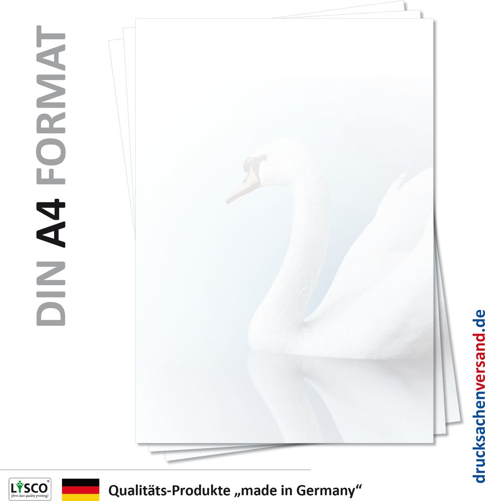 Motiv Briefpapier (Tiere-5113, DIN A4, 100 Blatt) Weißer Schwan auf dem See Motivpapier