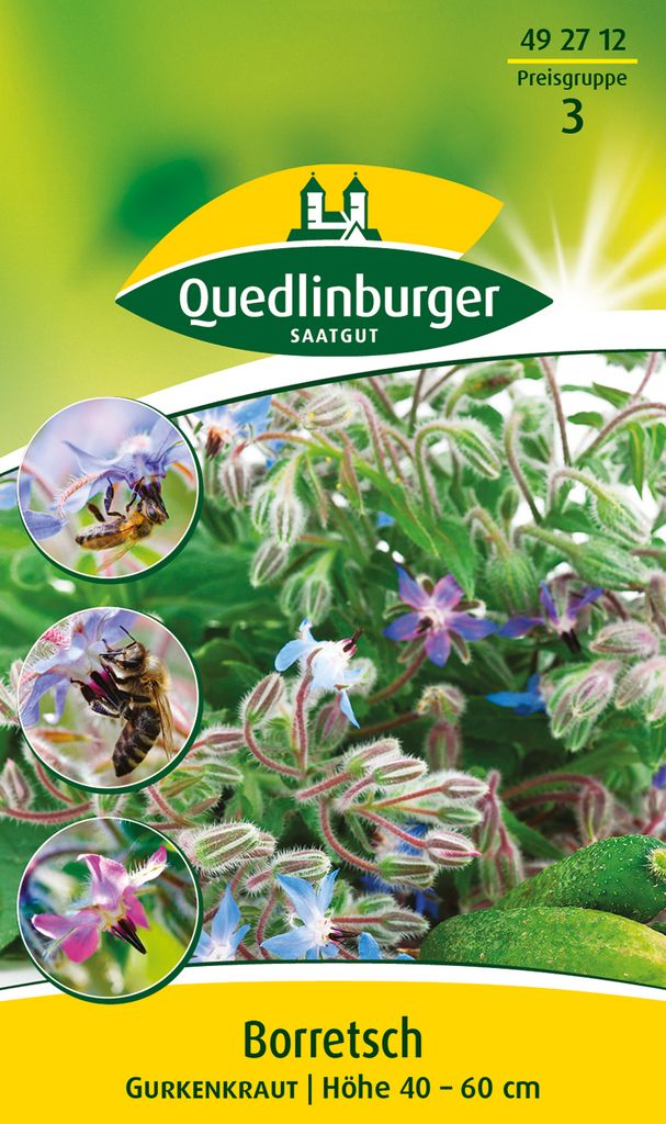 Quedlinburger Saatgut - Borretsch - Samen - 492712