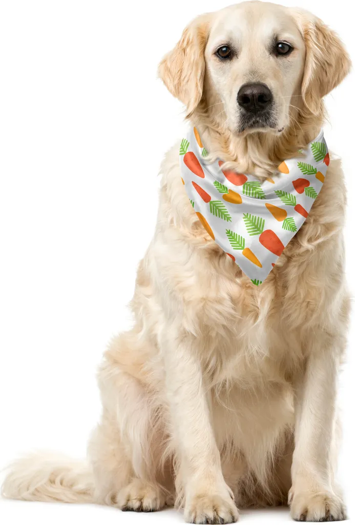 ABAKUHAUS Bandana Cane Arancione 40x40 cm - Motivo Carota Lavabile