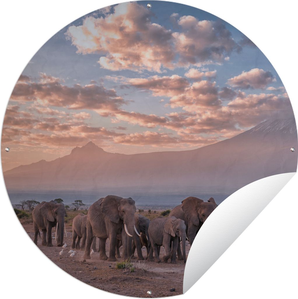 MuchoWow Gartenposter Outdoor-Poster Rund Wandernde Elefanten Ø 120 cm Gartendeko Rundes Poster draußen
