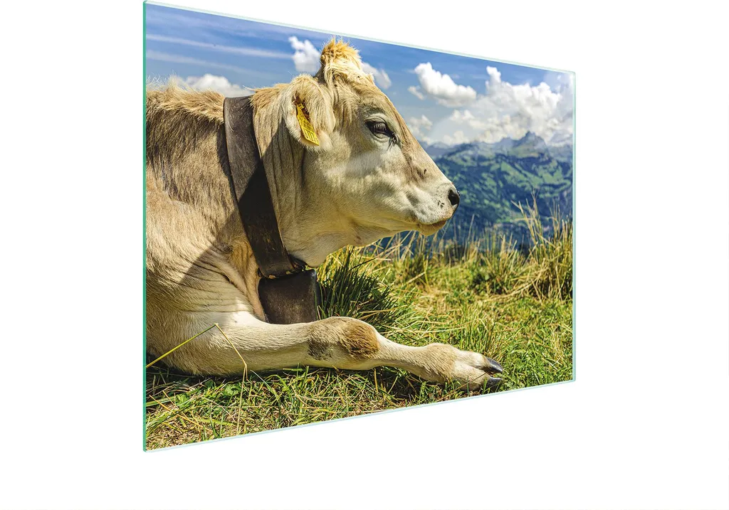 Piastra Copriforno in Vetro 30x22 cm Design Alpino Tagliere Multiuso