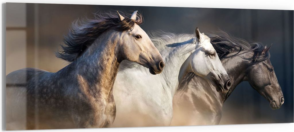 DEQORI Glasbild Echtglas 150x60 cm 'Pferde-Trio im Galopp' Wandbild Bild modern Deko