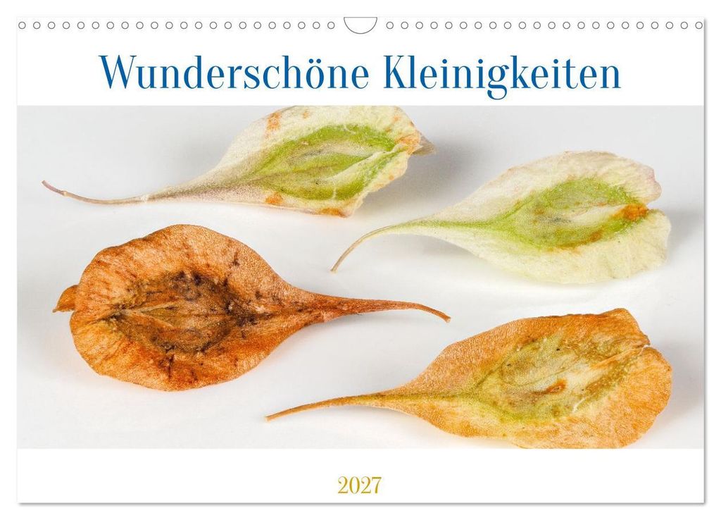 Wunderschöne Kleinigkeiten (Wandkalender 2027 DIN A3 quer), CALVENDO Monatskalender