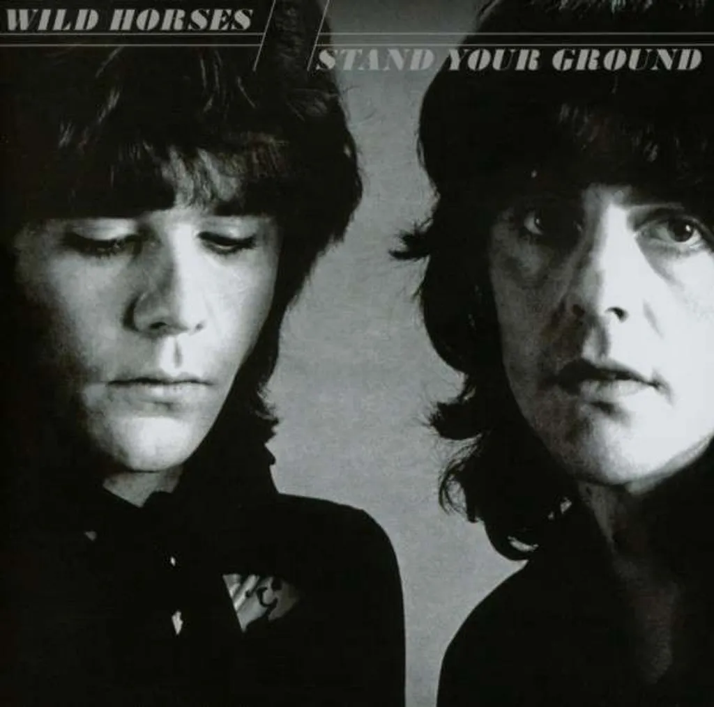 Stand Your Ground Disque Collector Idéal pour Amateur de Son Haute Fidélité